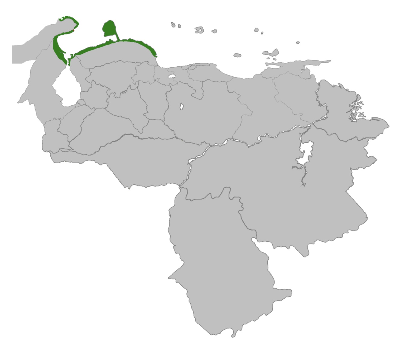 Alonso de Ojeda -Primeros asentamientos en Tierra Firme-