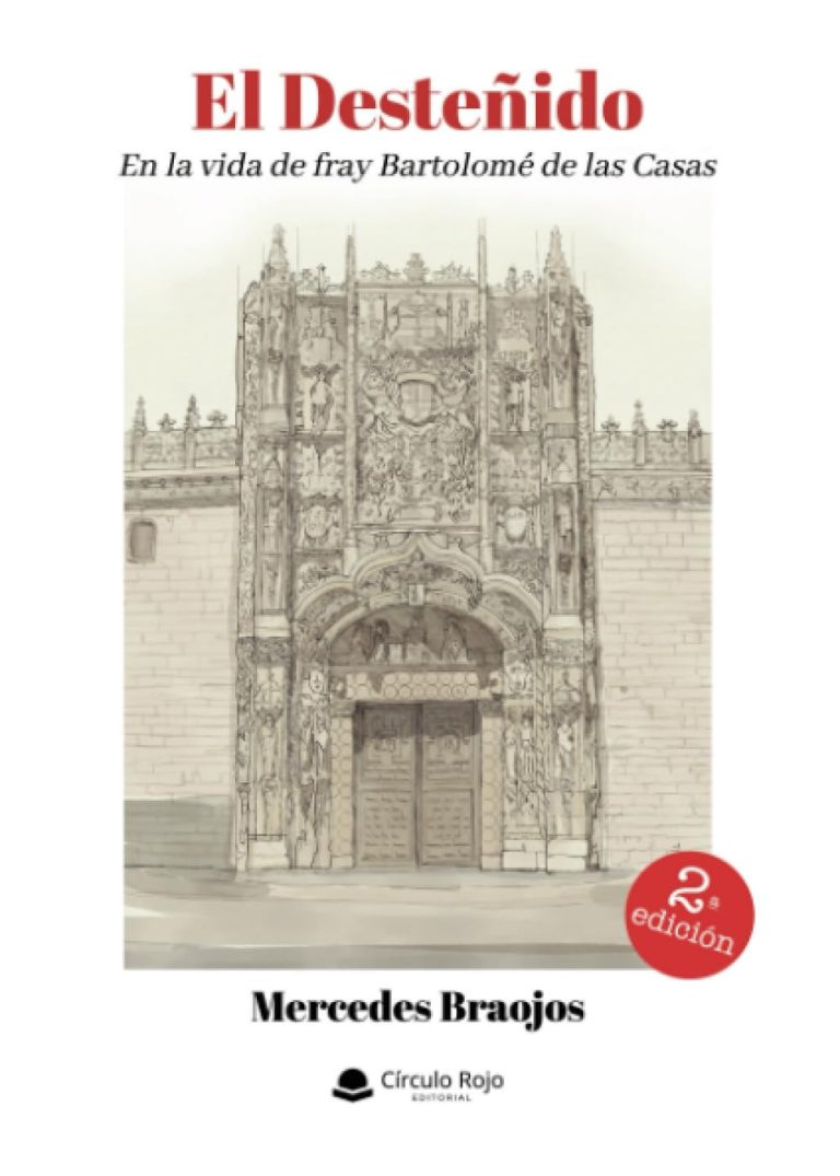 El Desteñido Novela Mercedes Braojos
