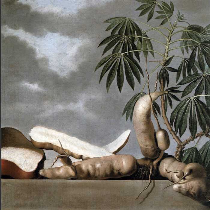 Albert Eckhout